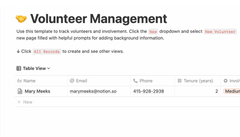 Imagem do produto do modelo de gestão de voluntariado
