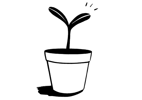 plant growing illustration